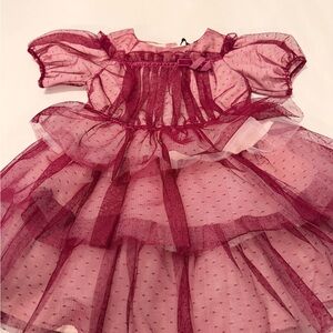 Janie and Jack Pink and Burgundy Tulle Dress 3T